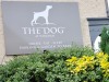 The Dog at Wingham,
Nr Canterbury,
Kent