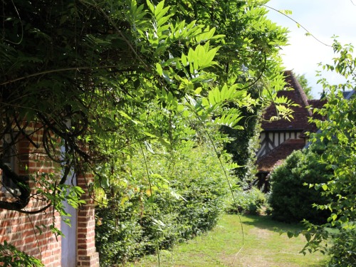 Le jardin