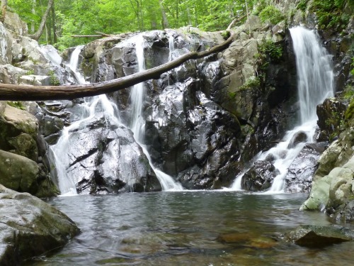 Waterfall in Shenandoah National Park - 1 of Many