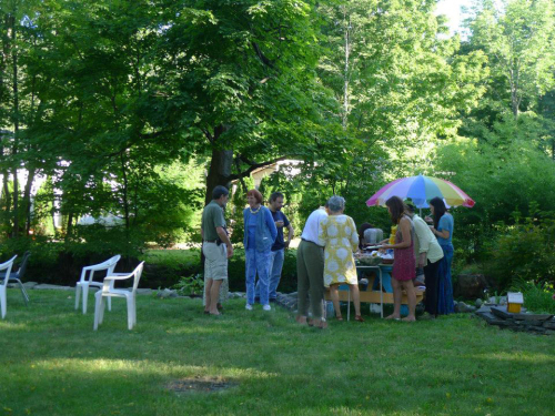 summer party at back yard