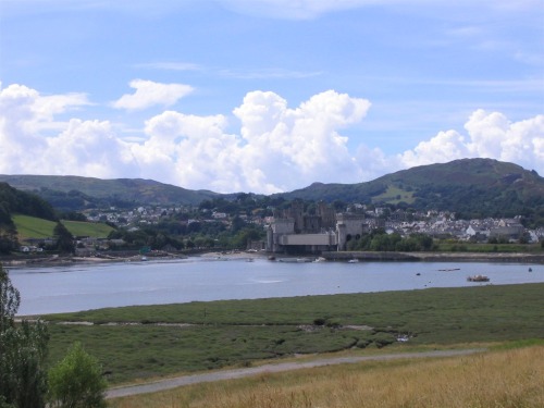Conwy from Bird Reserve