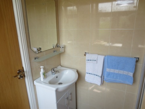 Bathroom No. 3 (ensuite)