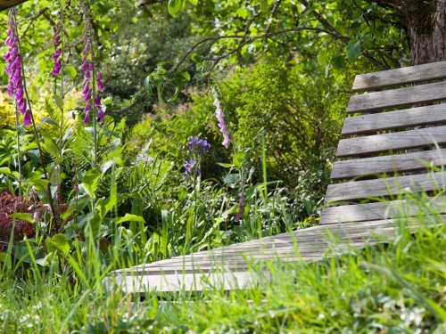Relax in the garden