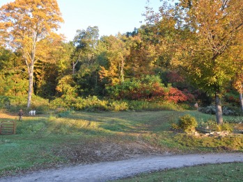 Garden View Fall Season