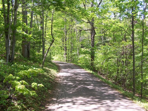 Local Scenery