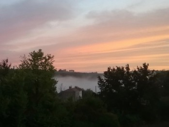 Morning mist over the garden