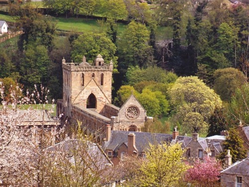 Jedburgh's 11th century abbey is just one of the Visitor Attractions in the Royal Burgh.