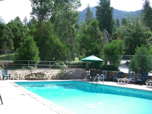 Our pool in the pines
