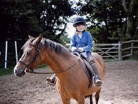 Crosswell Riding Stables