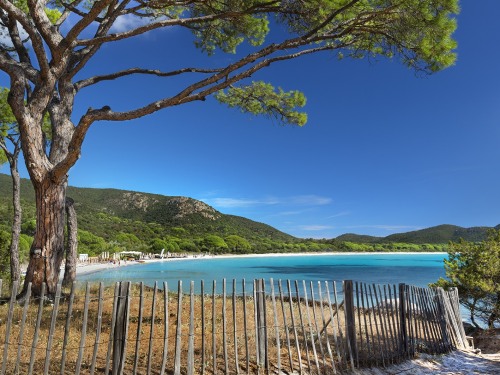 Résidence Les Jardins Du Golfe Porto Vecchio France