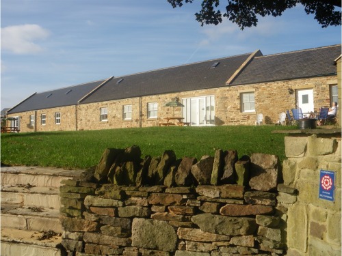 Exterior view of cottages