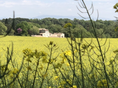 Vue du champ