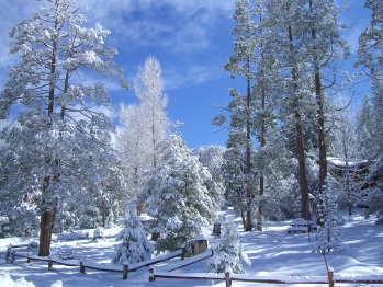 The park area in snow