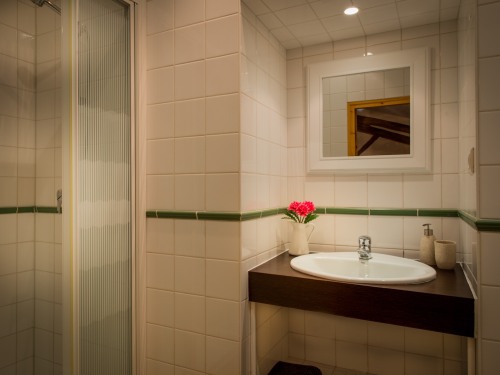 One of the two main gite ensuite shower rooms. This is available when booked for up to 4 guest occupancy.