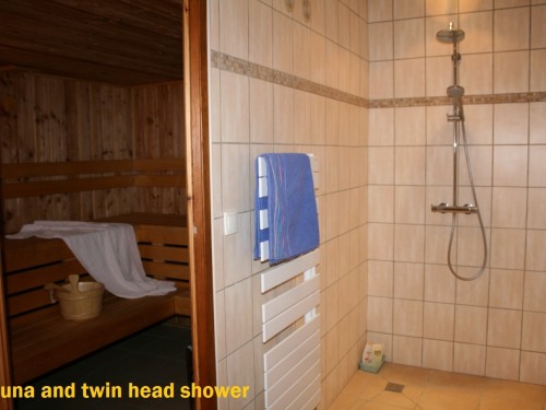 Sauna and twin head shower