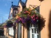 The Golf Tavern,
Haddington,
Edinburgh & Lothians