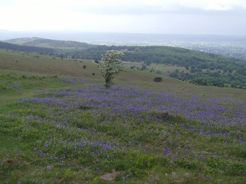 Mendip Hills