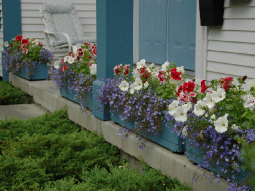 Flowers by summer on the front porch