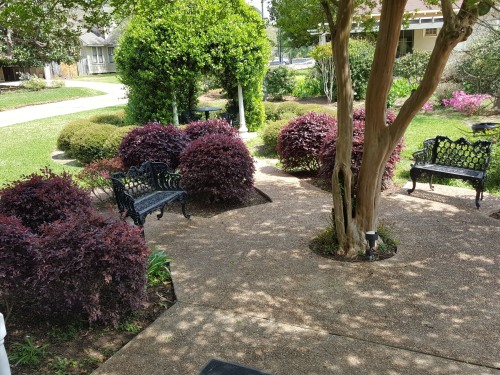 View of Garden from Library room