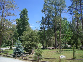 The park area