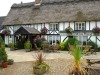 The Willow House,
Watton,
Norfolk
