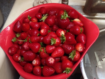 june strawberries