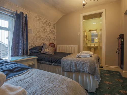 Twin room-Standard-Ensuite with Shower - Bed and Breakfast