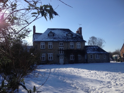 Snow View