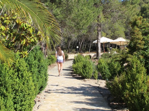 Vista jardín exterior