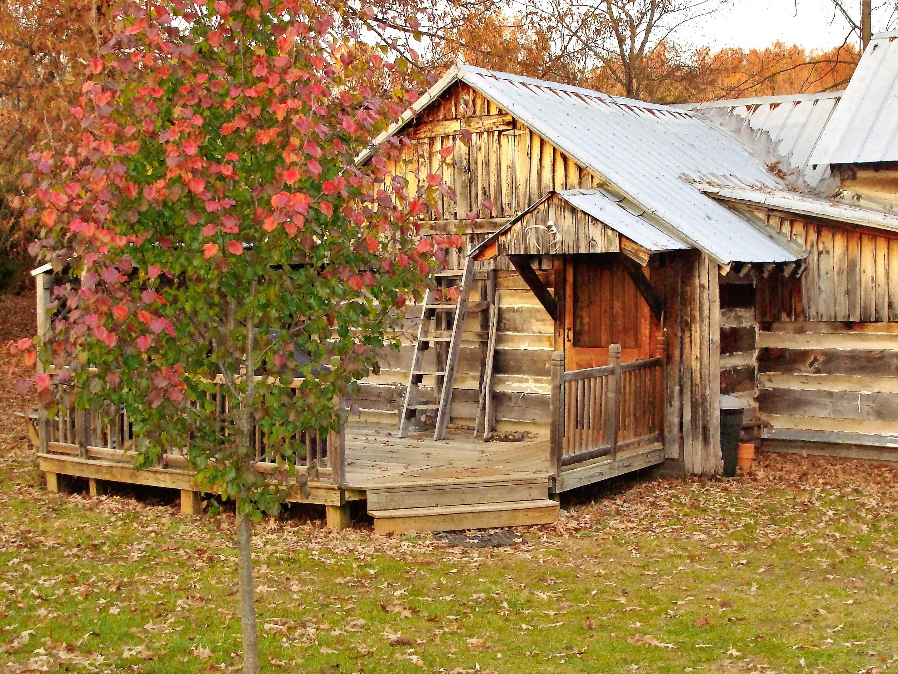 Homesteaders Cabin-Log Cabin-Private Bathroom-Classic-Woodland view