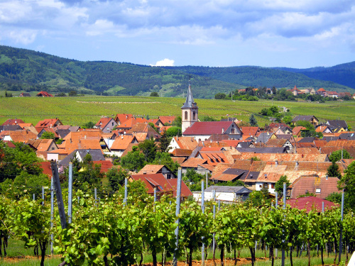Vue sur le village de Beblenheim depuis le vignoble