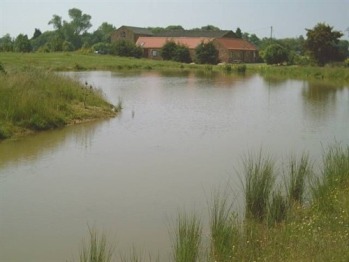 Fishing pond