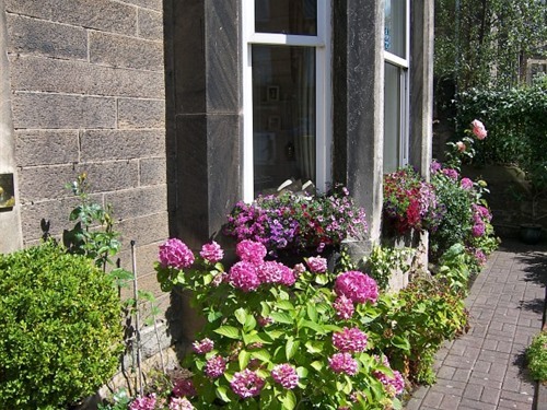 Highfield Guest House - Front Garden
