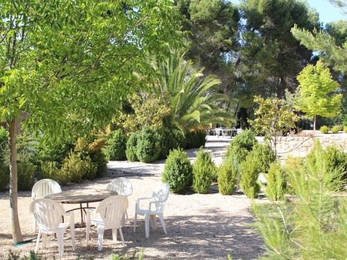Vista jardín exterior