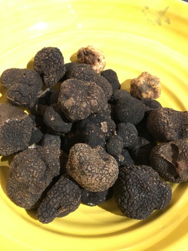 Truffes time