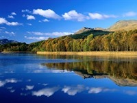 Clyde Cruises to the islands of Inchmurrin and Inchcailloch