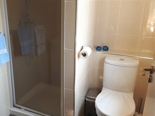 Bathroom No. 3 (ensuite)