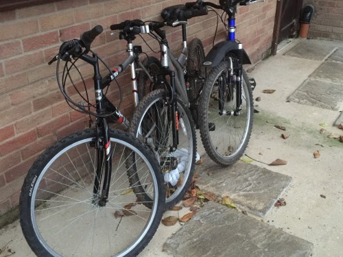 Free use of Bikes during your stay at Woodpadock B&B in March