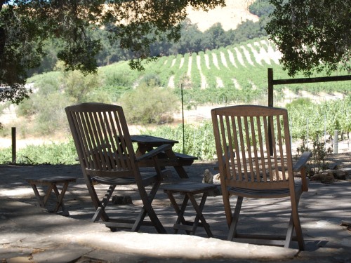 View from BBQ & fire pit area of vineyards.