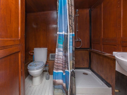 salle de bain privée avec douche et WC - serviettes de toilette fournies