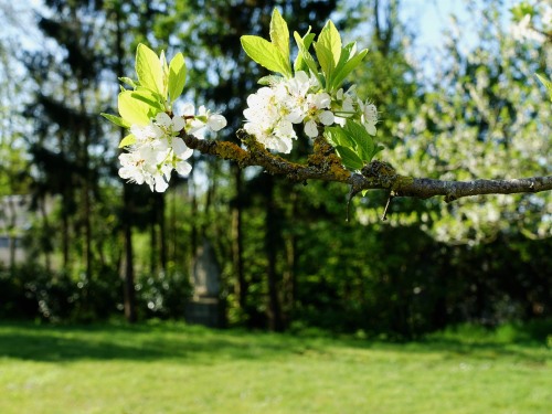 parc