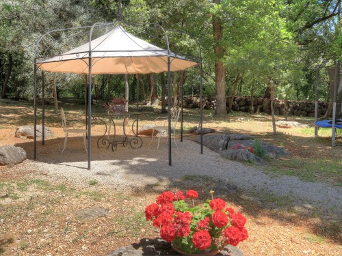 Arbor, Trampoline