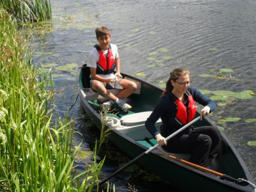 Canoe hire