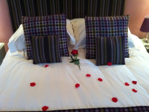 Whether for significant birthdays, anniversaries or valentine's Blas Gwyr has a room for any occasion