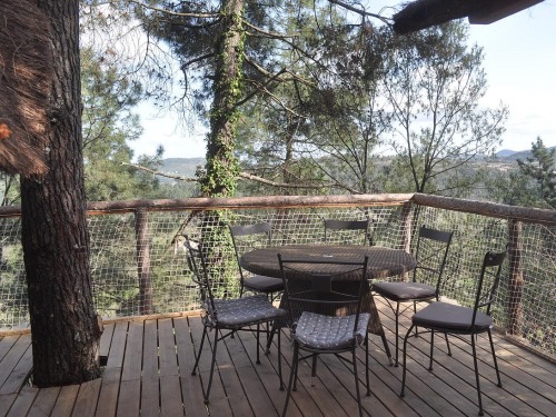 La cabane des Grands Pins