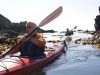 Activity - Sea Kayaking in Lough Hyne