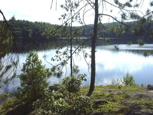 Natural beauty all around us.