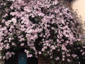 View From Property - Lisnafillan Bed & Breakfast Garden