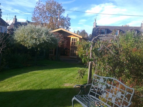 A view of rear garden with log cabin