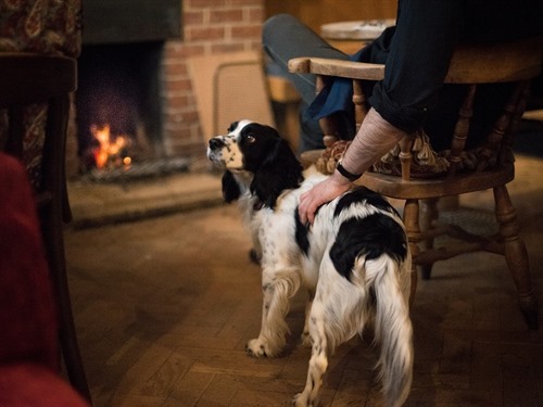 A proper fire, dogs and muddy boots welcome